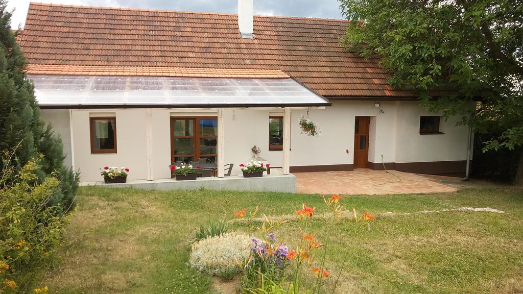 Apartment Techov Бланско Стая снимка